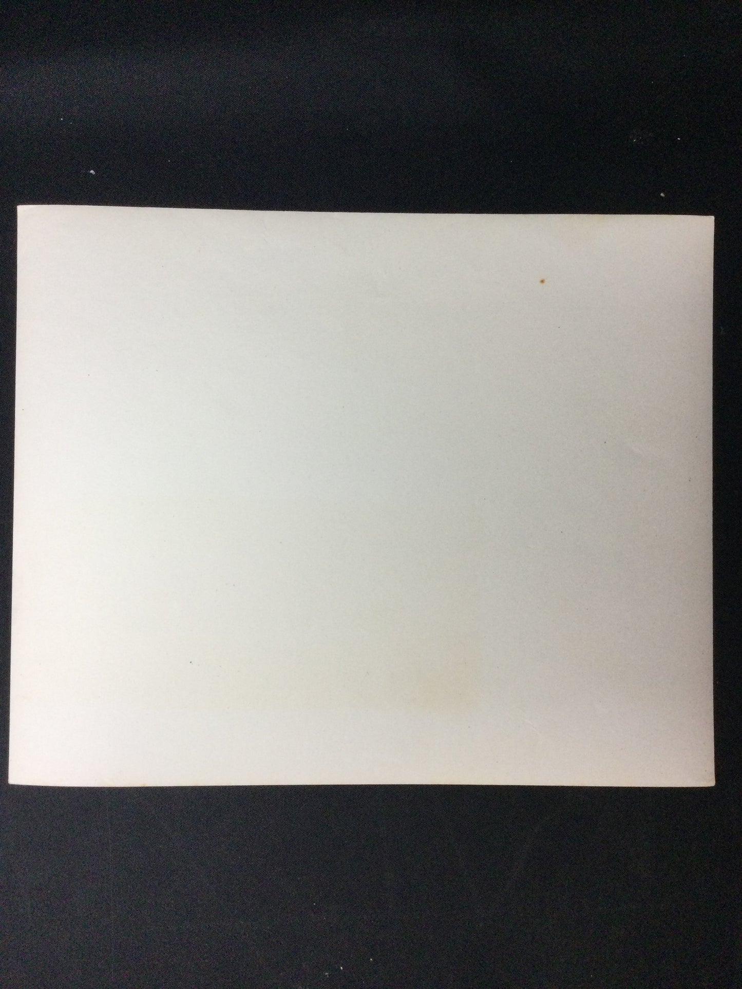 Washington Senators Type 1 Photo from the 1930's pretending to slide head first