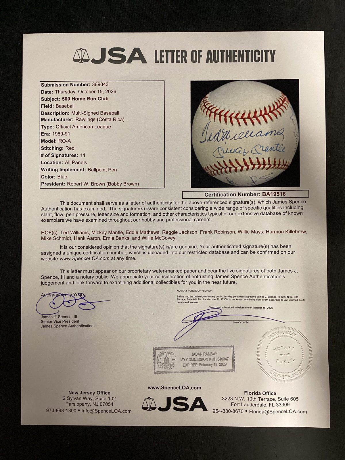 Ted Williams & Mickey Mantle in Sweet Spot 500 Home Run Club Ball JSA LOA, 11 autos HIGH GRADE